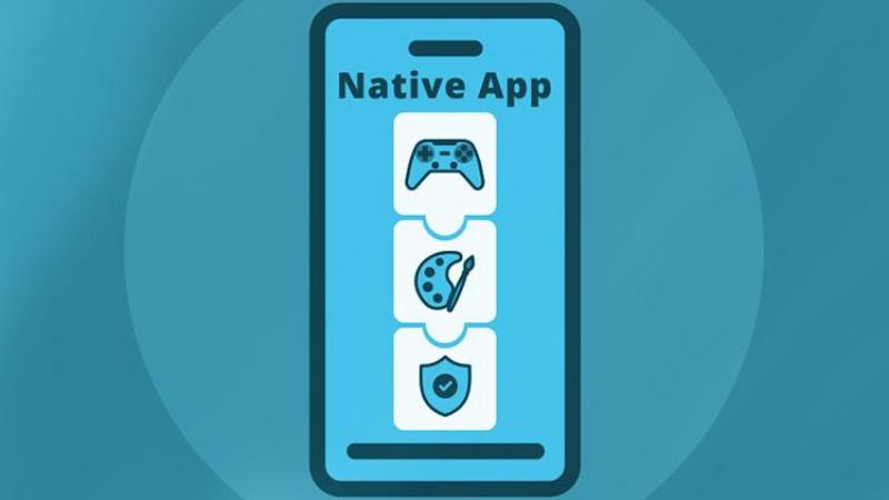 Mini App vs App Web App PWA
