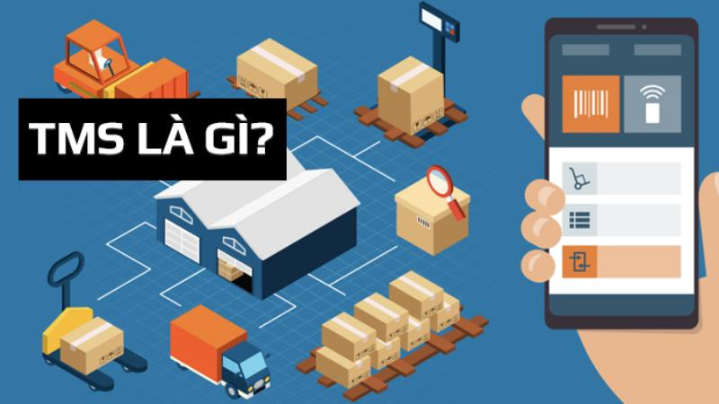 phần mềm tms