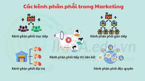 Sơ đồ kênh phân phối