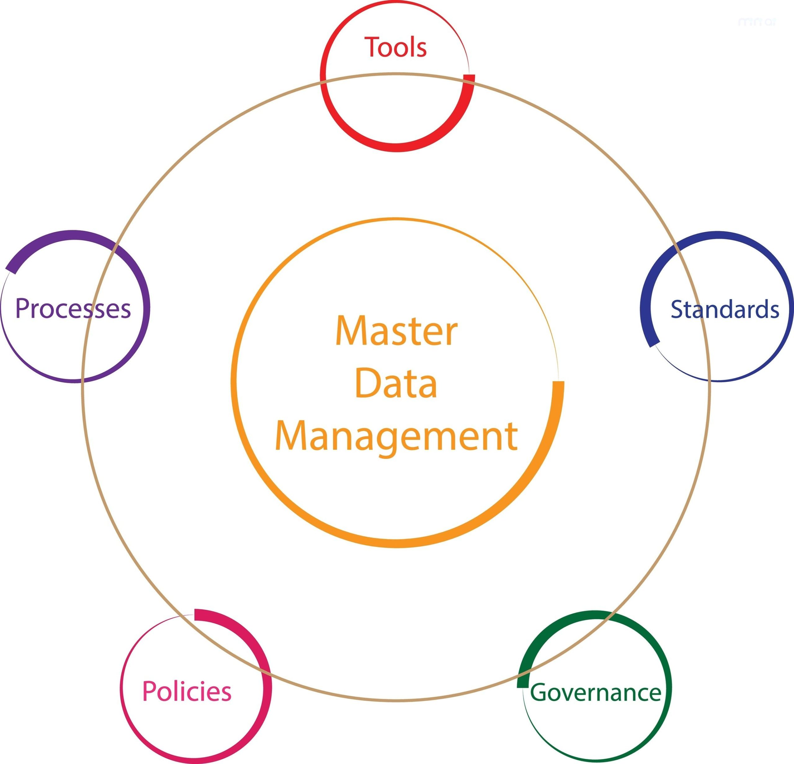 data management là gì