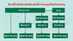 Sơ đồ kênh phân phối